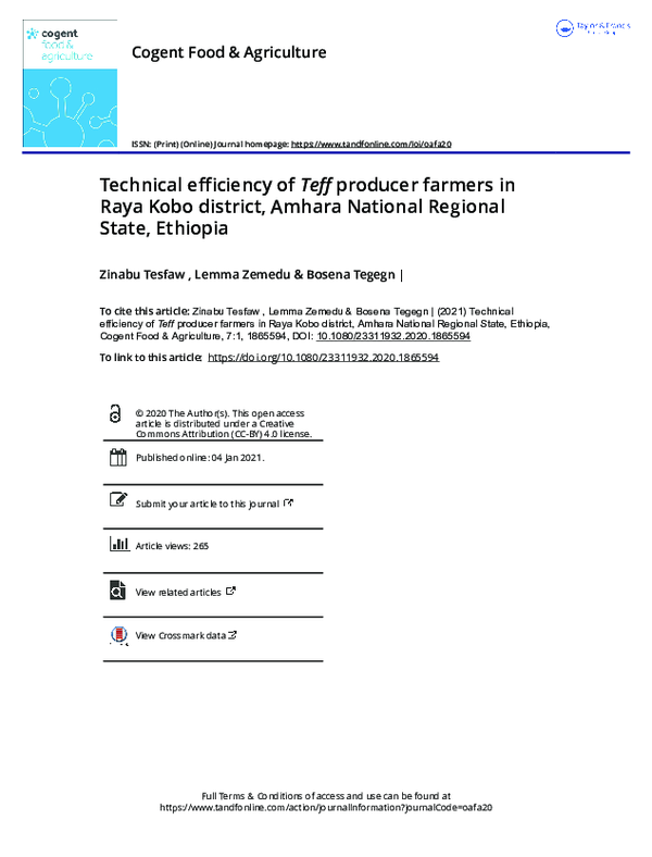 (PDF) Technical efficiency of Teff producer farmers in Raya Kobo ...