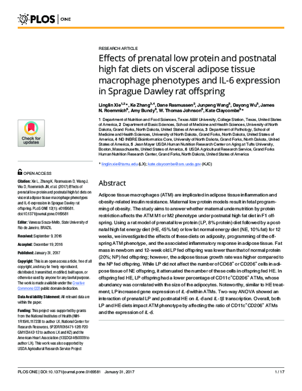 (PDF) Effects of prenatal low protein and postnatal high fat diets on ...