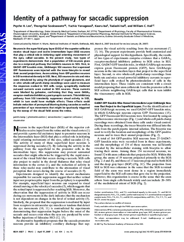 (PDF) Identity of a pathway for saccadic suppression