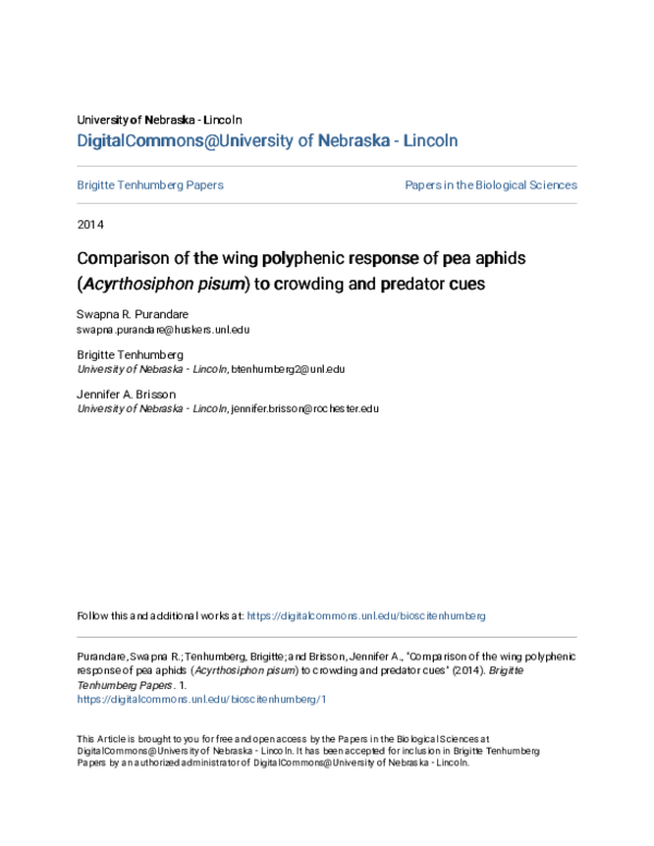 (PDF) Comparison of the wing polyphenic response of pea aphids ...