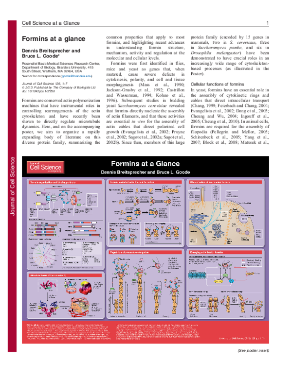(PDF) Formins at a glance