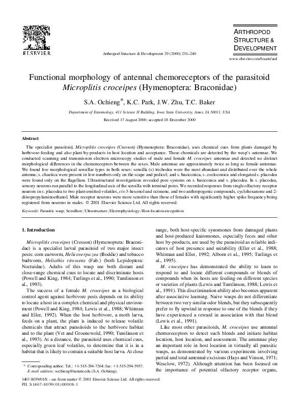 (PDF) Functional morphology of antennal chemoreceptors of the ...