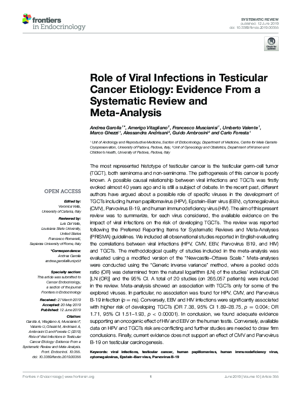 (PDF) Role of Viral Infections in Testicular Cancer Etiology Evidence