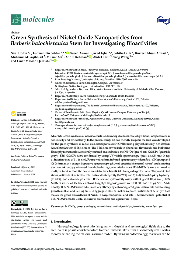 (PDF) Green Synthesis of Nickel Oxide Nanoparticles from Berberis ...