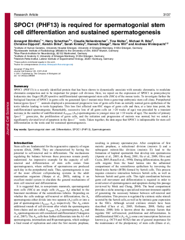 (PDF) SPOC1 (PHF13) is required for spermatogonial stem cell ...