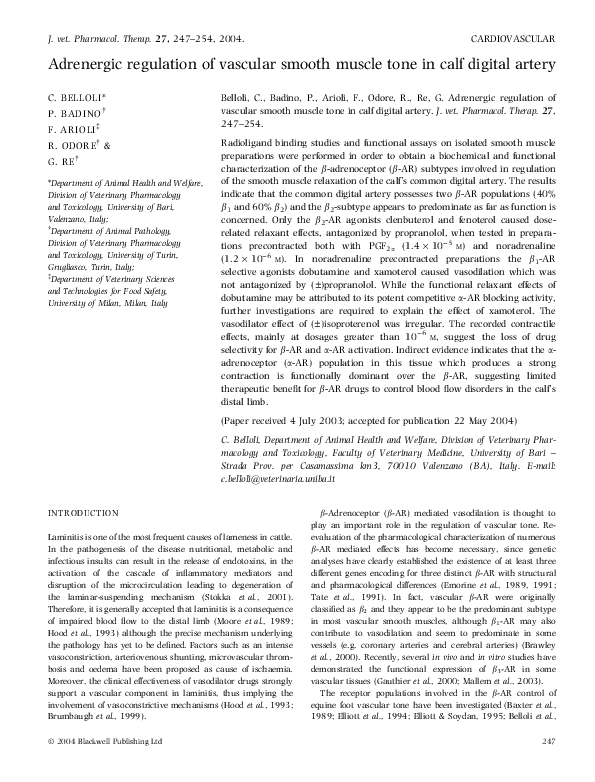 (PDF) Adrenergic regulation of vascular smooth muscle tone in calf ...