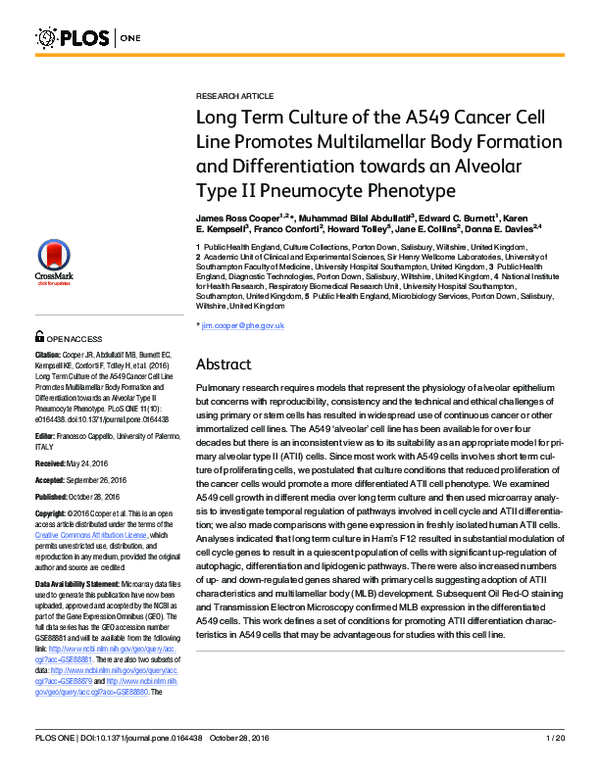 (PDF) Long Term Culture of the A549 Cancer Cell Line Promotes ...