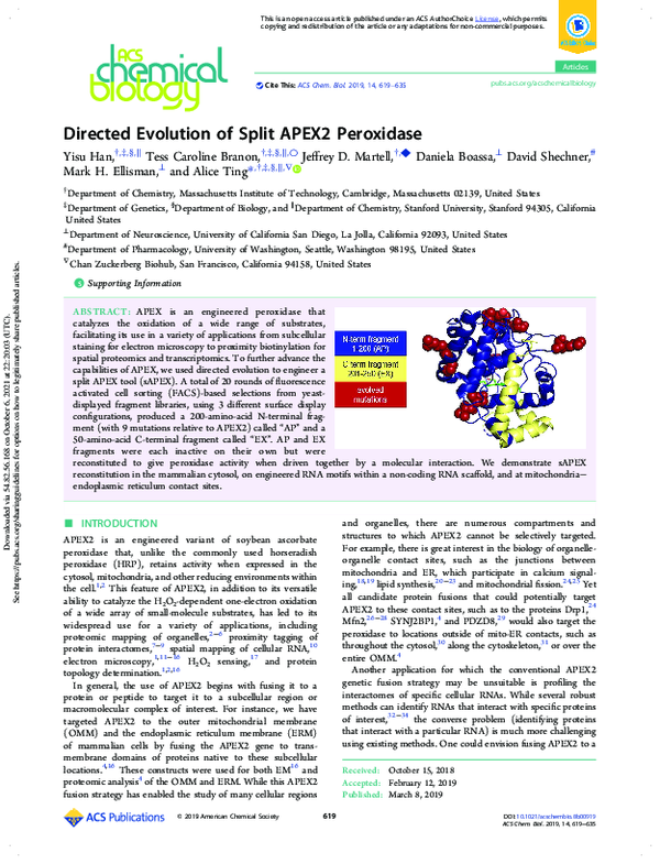 (PDF) Directed Evolution of Split APEX2 Peroxidase
