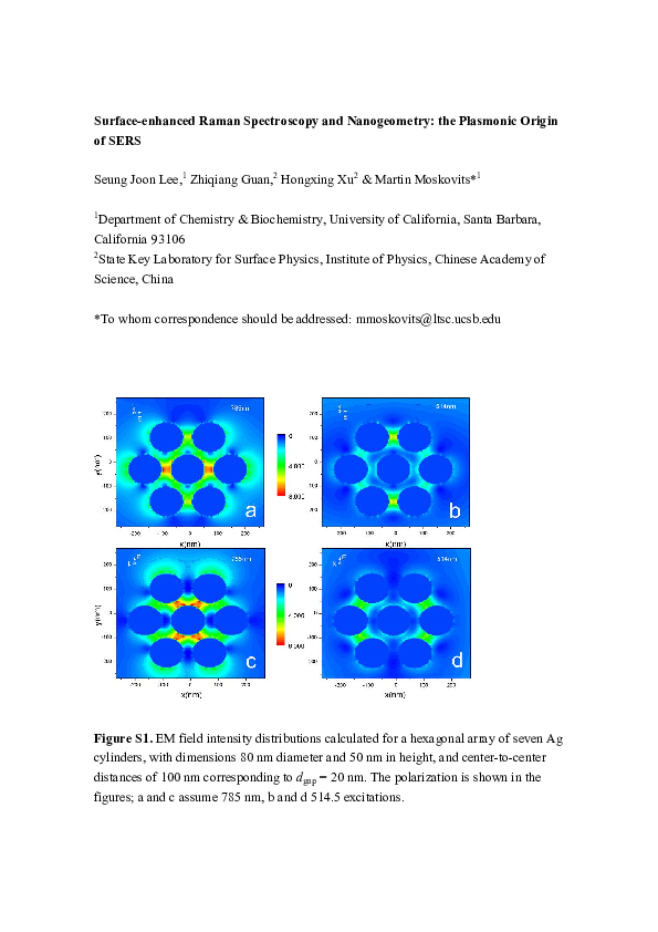 (PDF) Surface-Enhanced Raman Spectroscopy and Nanogeometry: The ...