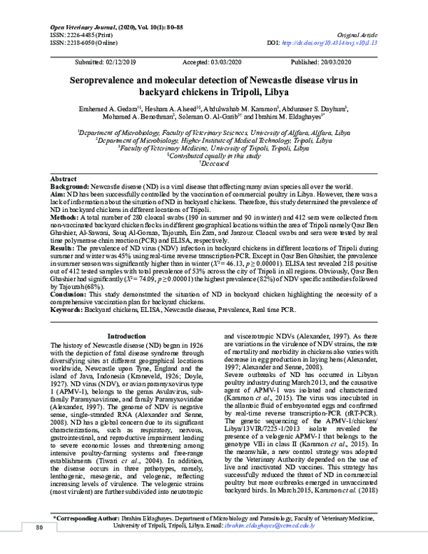 Killing chickens essay pdf 03 image