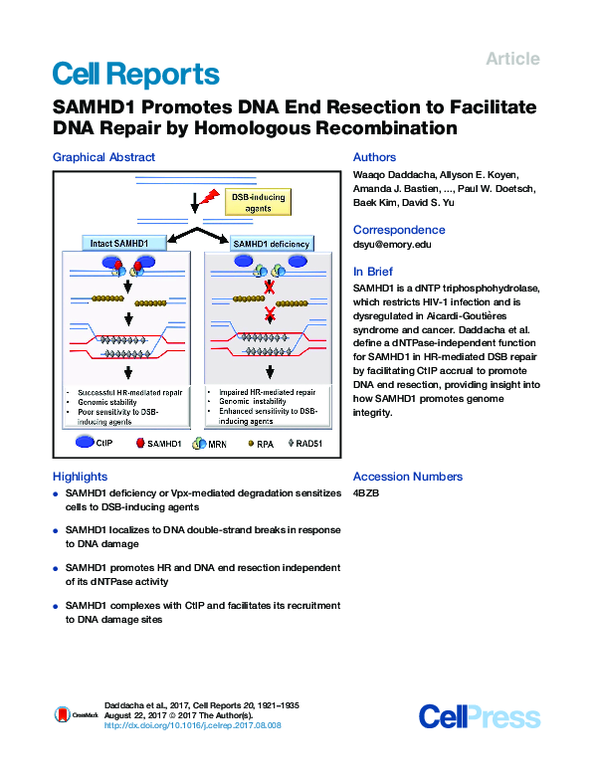 (PDF) SAMHD1 Promotes DNA End Resection to Facilitate DNA Repair by ...