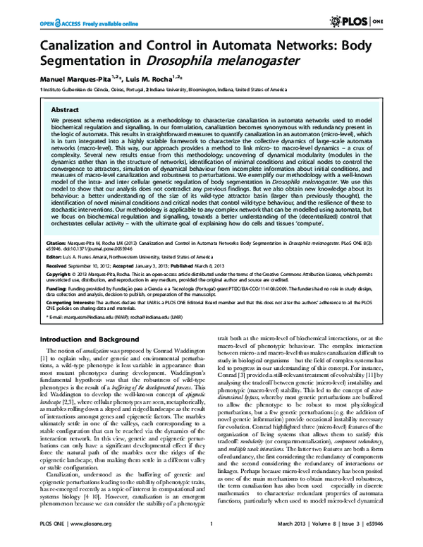 (PDF) Canalization and Control in Automata Networks: Body Segmentation ...