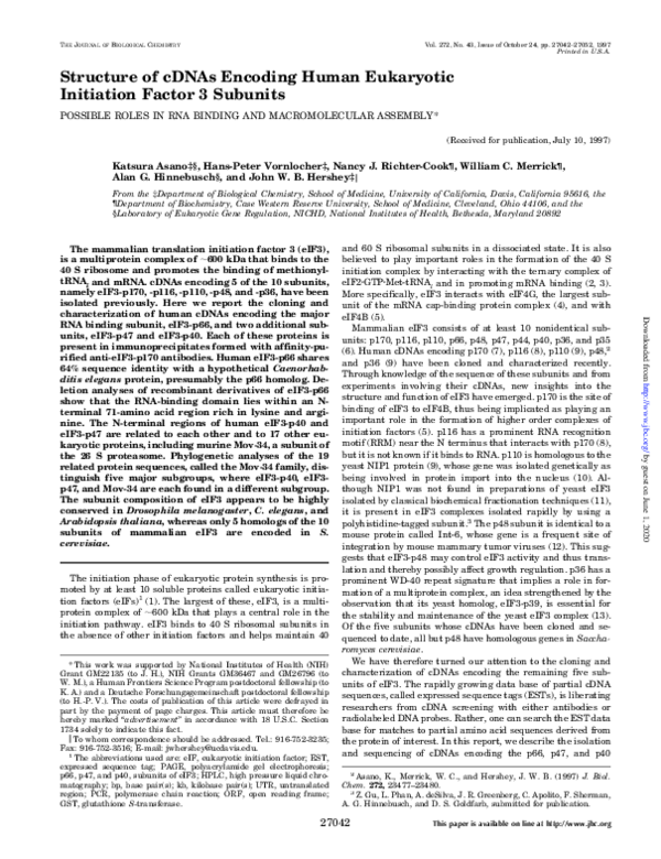 (PDF) Structure of cDNAs encoding human eukaryotic initiation factor 3 ...