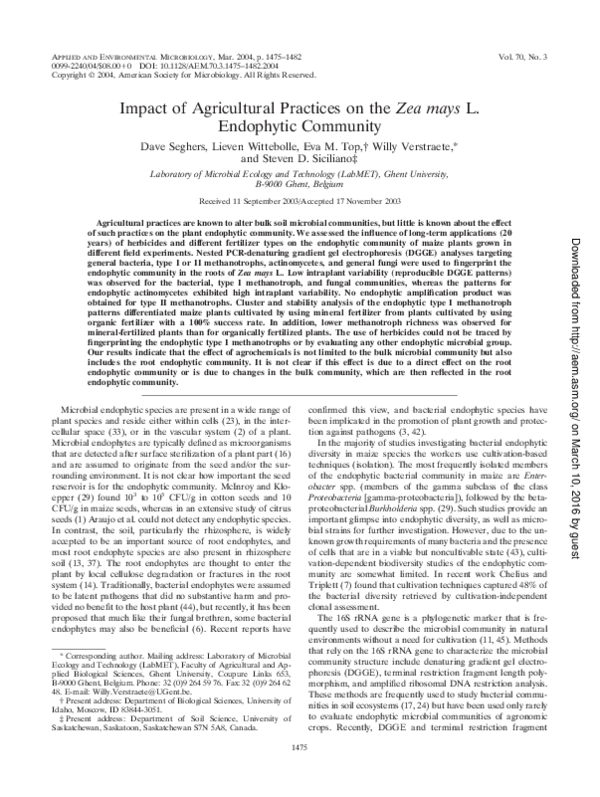 (PDF) Impact of Agricultural Practices on the Zea mays L. Endophytic ...