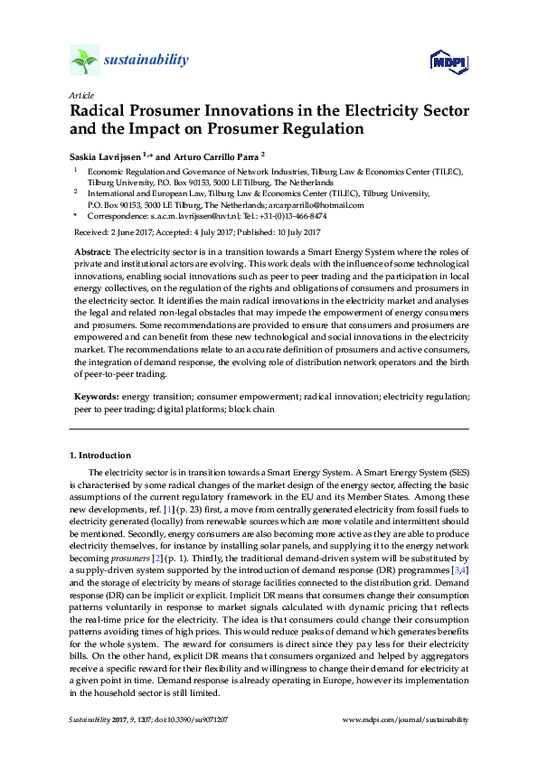 (PDF) Radical Prosumer Innovations in the Electricity Sector and the ...