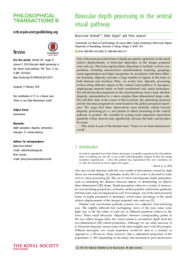 (PDF) Binocular depth processing in the ventral visual pathway