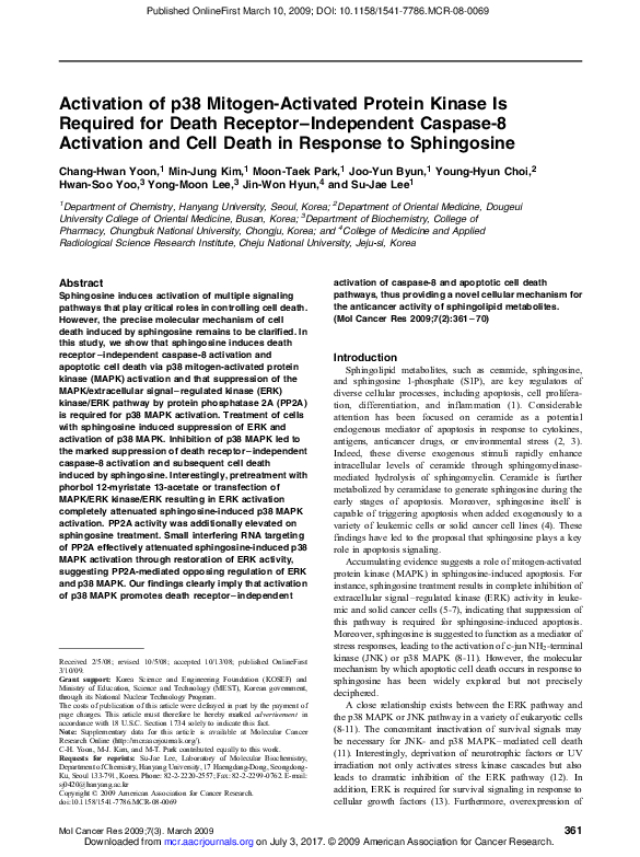 (PDF) Activation of p38 Mitogen-Activated Protein Kinase Drives ...