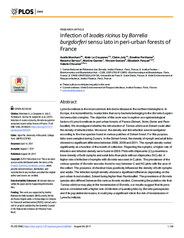 (PDF) Infection of Ixodes ricinus by Borrelia burgdorferi sensu lato in ...