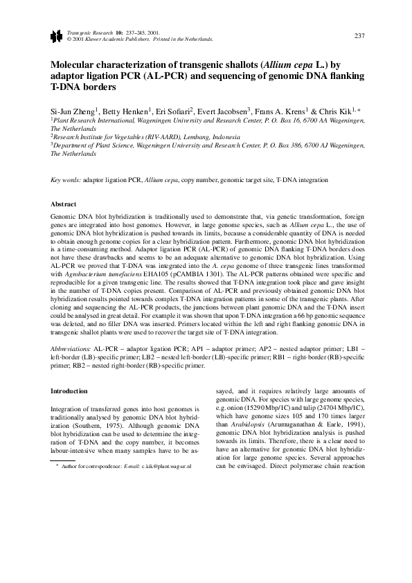 (PDF) Molecular characterization of transgenic shallots (Allium cepa L