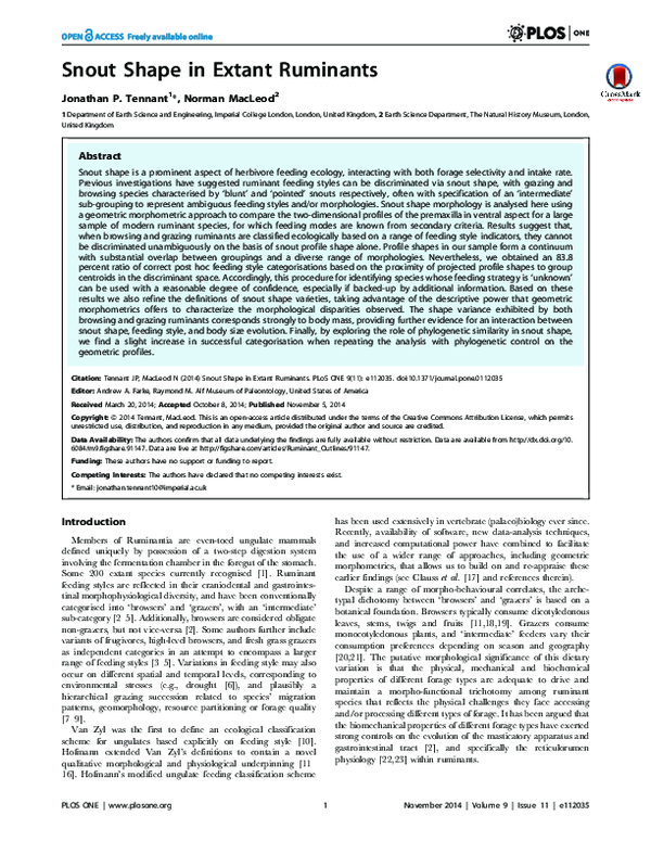 (PDF) Snout Shape in Extant Ruminants