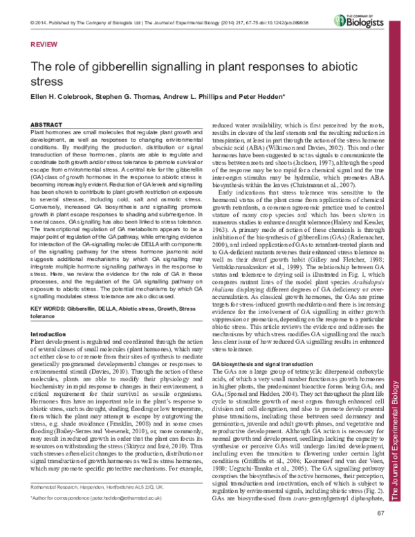 (PDF) The role of gibberellin signalling in plant responses to abiotic ...