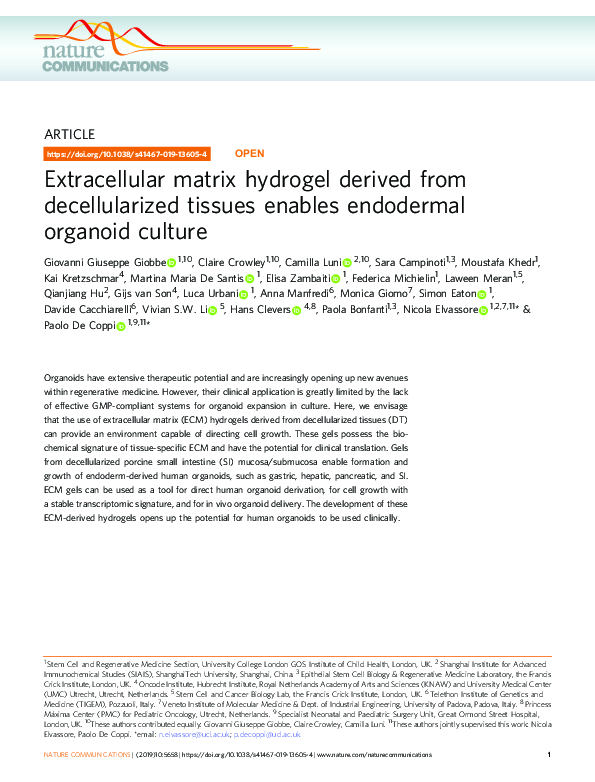(PDF) Extracellular matrix hydrogel derived from decellularized tissues ...