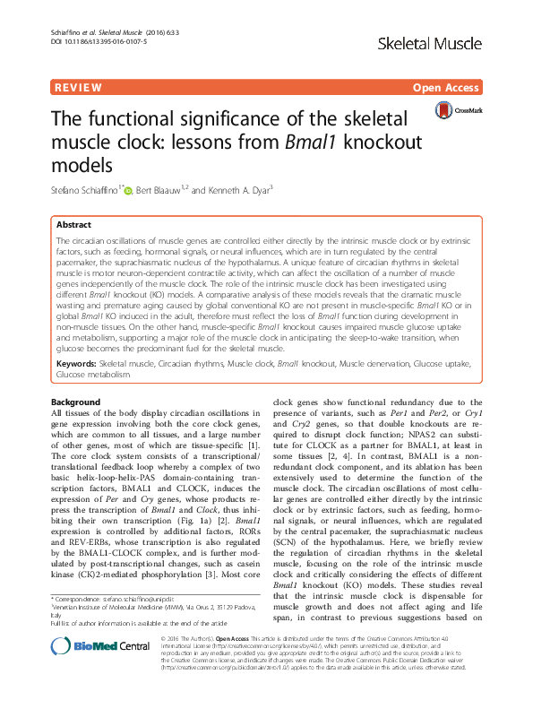 (PDF) The functional significance of the skeletal muscle clock: lessons ...