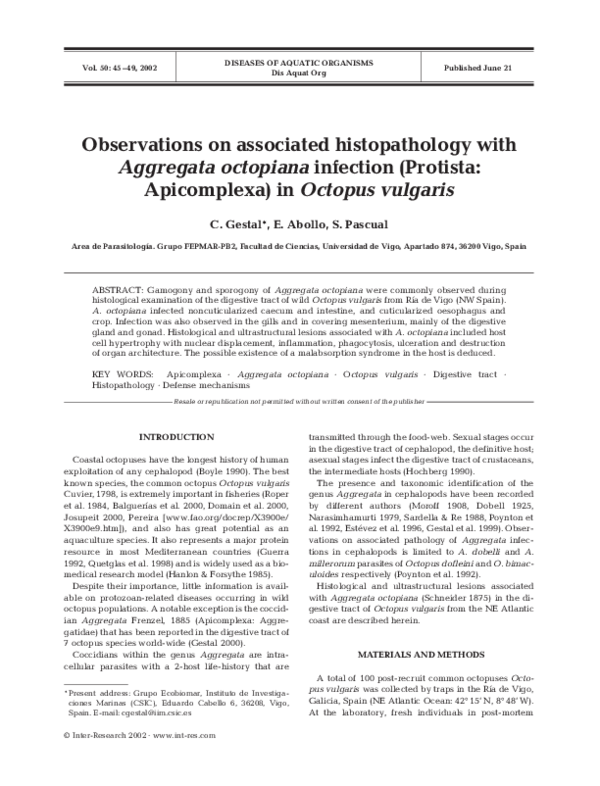 (PDF) Observations on associated histopathology with Aggregata ...