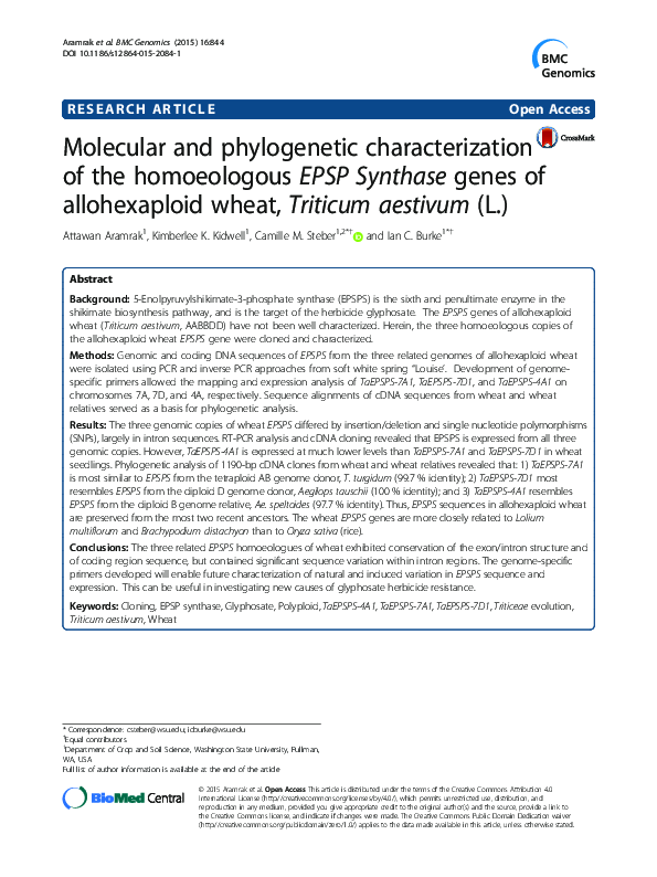 (PDF) Molecular and characterization of the sieve element