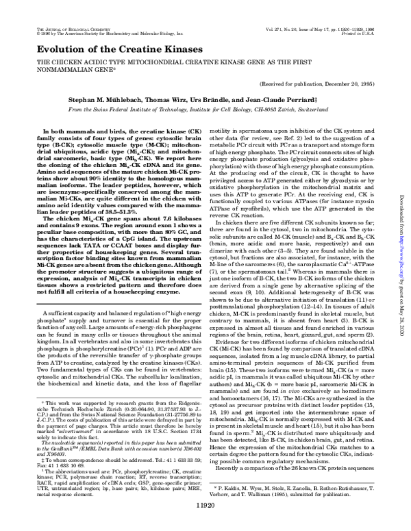 (PDF) Evolution of the Creatine Kinases