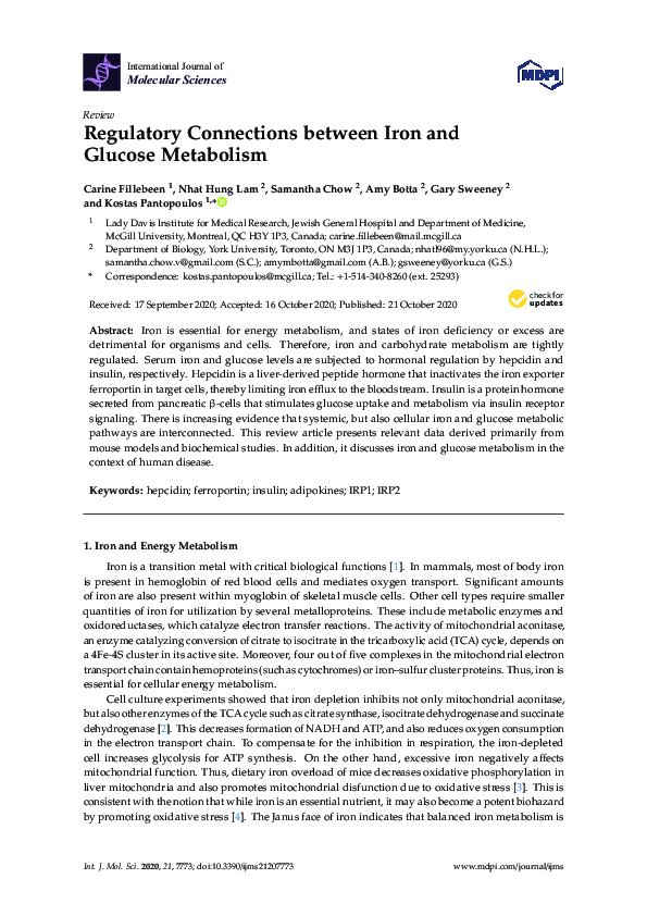 (PDF) Regulatory Connections between Iron and Glucose Metabolism