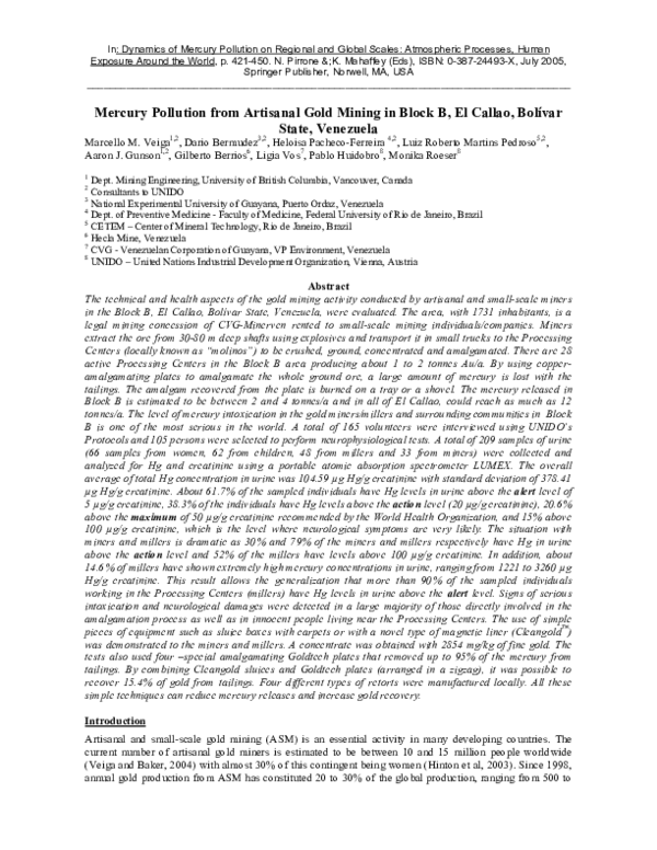 (PDF) Mercury Pollution from Artisanal Gold Mining in Block B, El ...