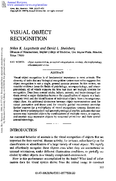 (PDF) Visual object recognition