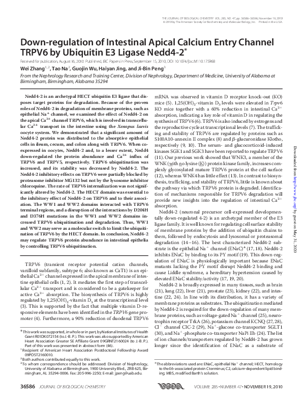 (PDF) Down-regulation of Intestinal Apical Calcium Entry Channel TRPV6 ...