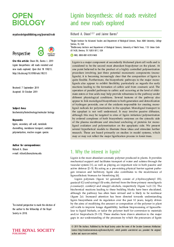 (PDF) Lignin biosynthesis: old roads revisited and new roads explored