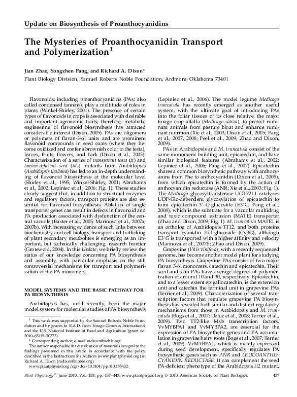 (PDF) The Mysteries of Proanthocyanidin Transport and Polymerization