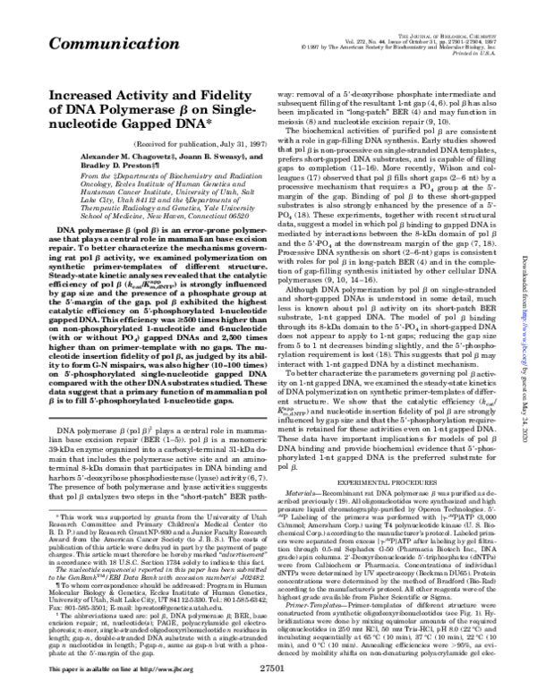 (PDF) Increased Activity and Fidelity of DNA Polymerase beta on Single ...