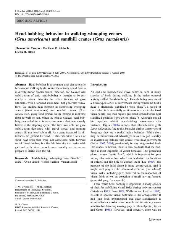 (PDF) Head-bobbing behavior in walking whooping cranes (Grus americana ...
