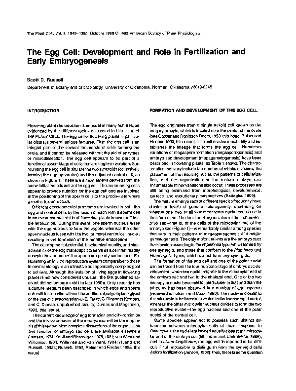 (PDF) The egg cell: development and role in fertilization and early ...