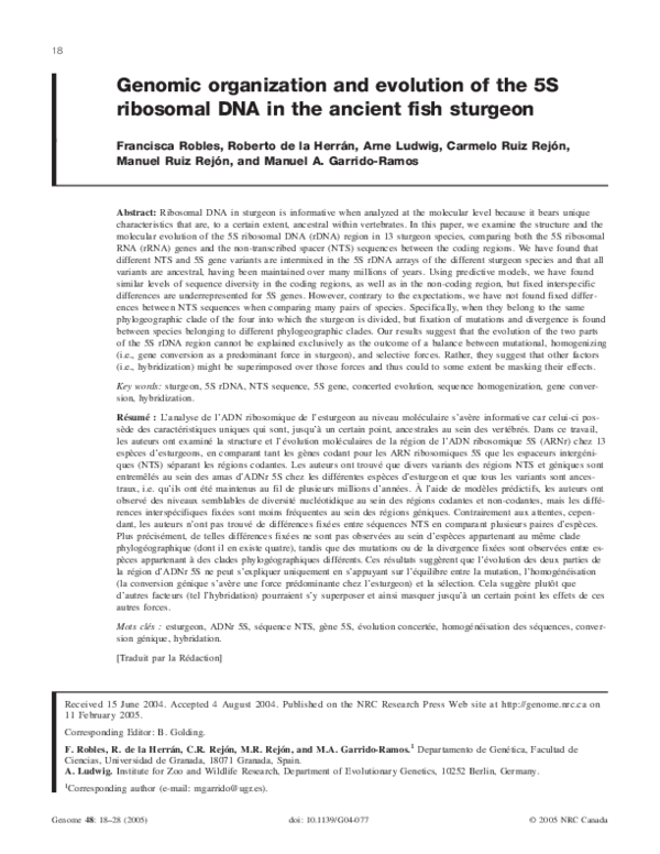 (PDF) Genomic organization and evolution of the 5S ribosomal DNA in the ...