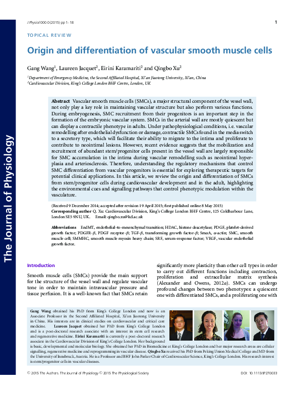 (PDF) Origin and differentiation of vascular smooth muscle cells