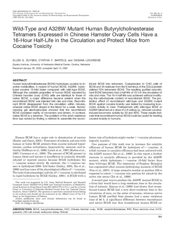 Cocaine intoxication essay 07 image