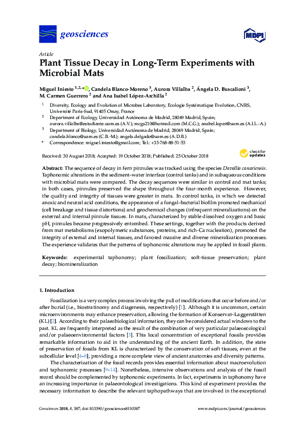 (PDF) Plant Tissue Decay in Long-Term Experiments with Microbial Mats