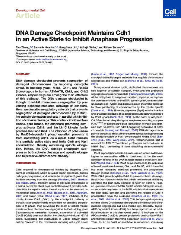(PDF) DNA Damage Checkpoint Maintains Cdh1 in an Active State to ...