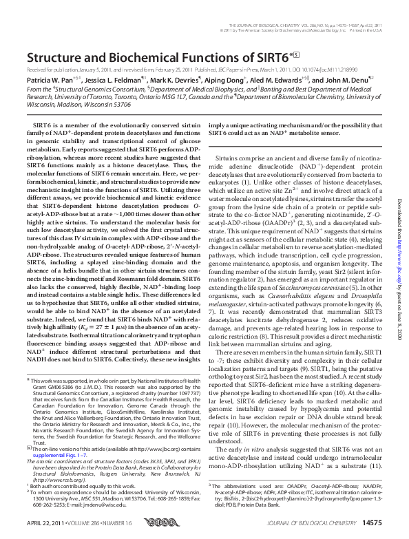 (PDF) Structure and Biochemical Functions of SIRT6