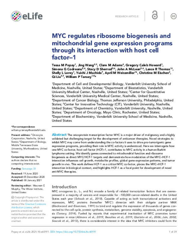 (PDF) MYC regulates ribosome biogenesis and mitochondrial gene ...