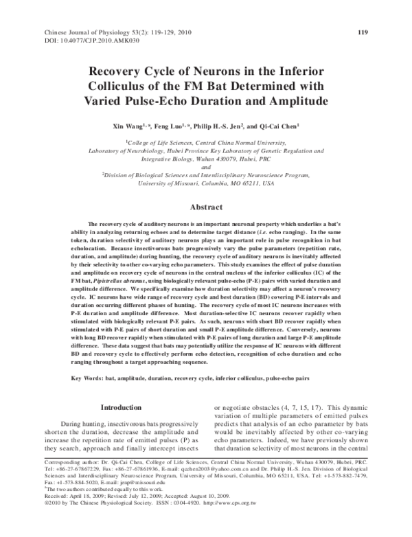 (PDF) Recovery cycle of neurons in the inferior colliculus of the FM ...