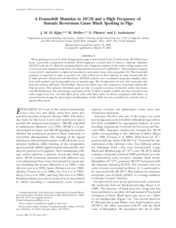 Frameshift mutation quizlet picture