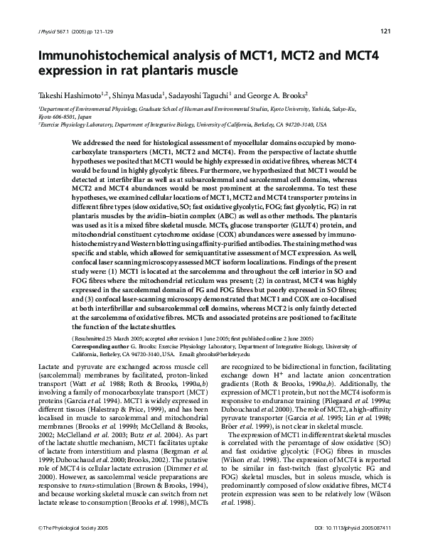 (PDF) Immunohistochemical analysis of MCT1, MCT2 and MCT4 expression in ...