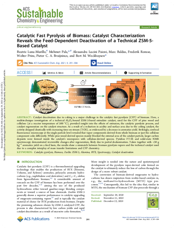 (PDF) Catalytic Fast Pyrolysis of Biomass: Catalyst Characterization ...